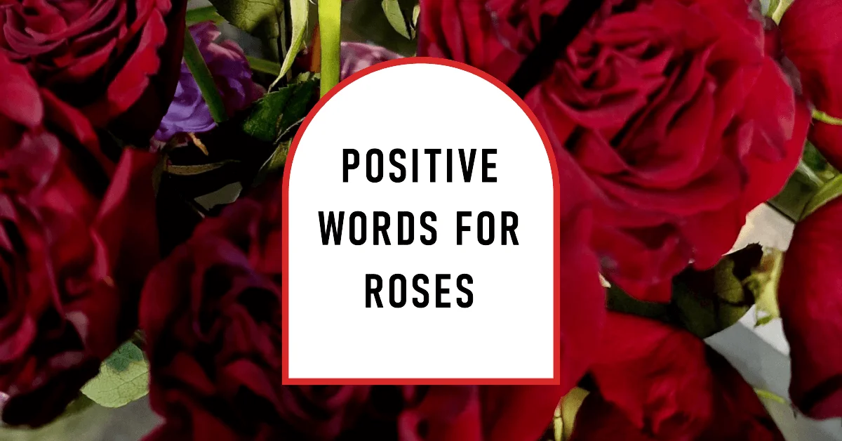 positive words for roses