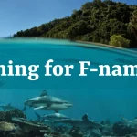 Fish Names that Start with Letter F