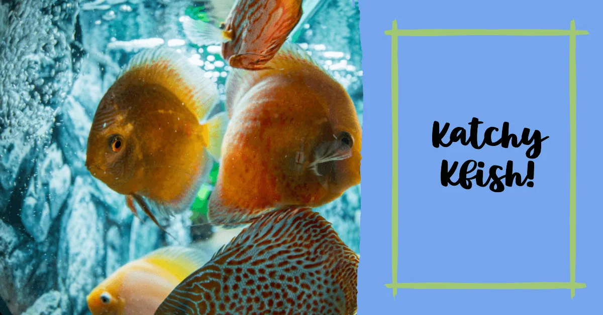 Fish Names that Start with Letter K