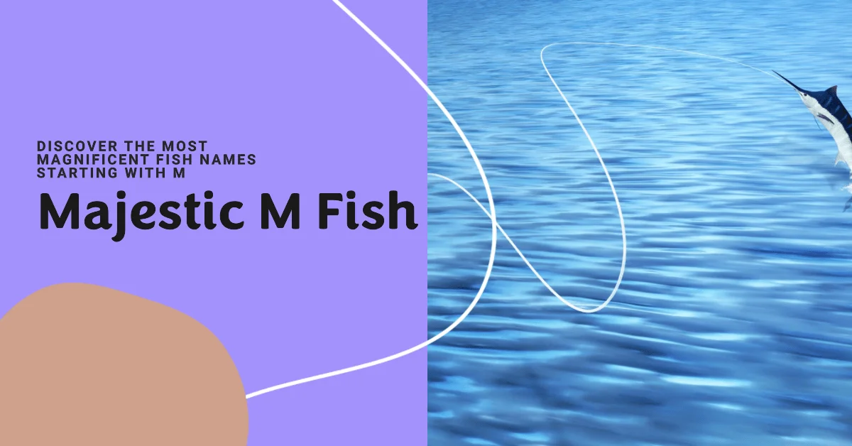 Fish Names that Start with Letter M