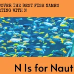 Fish Names that Start with Letter N