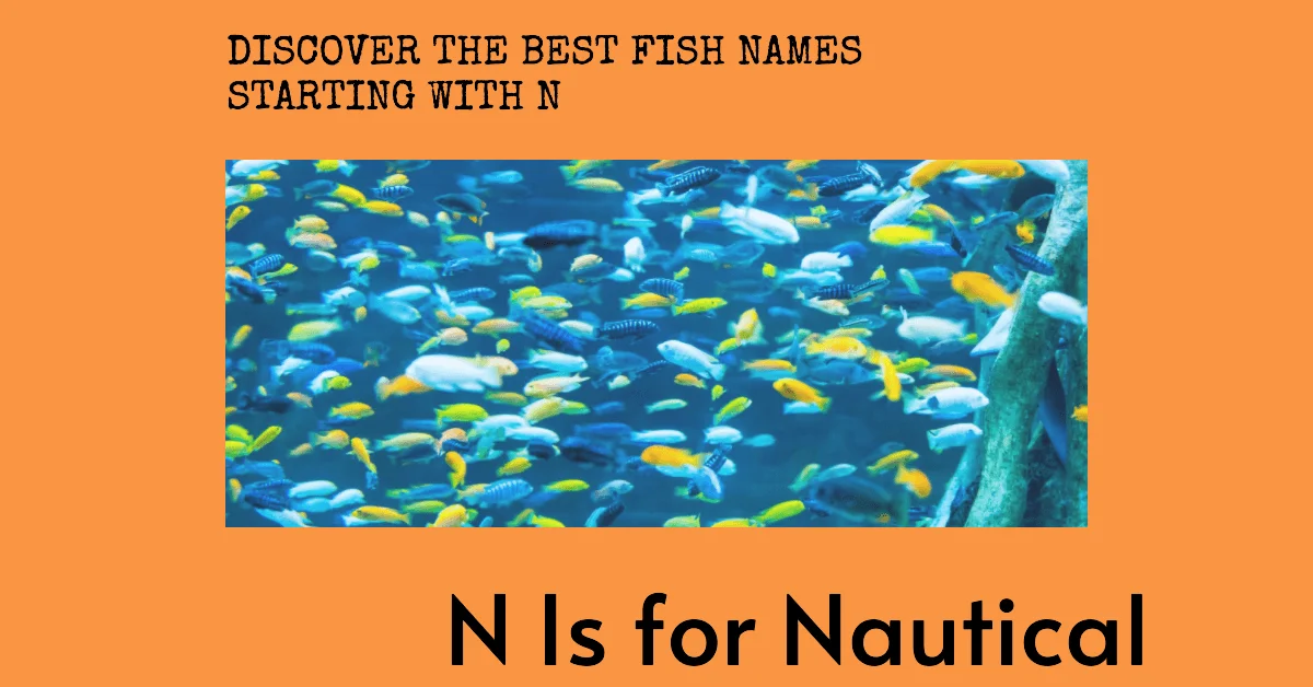 Fish Names that Start with Letter N