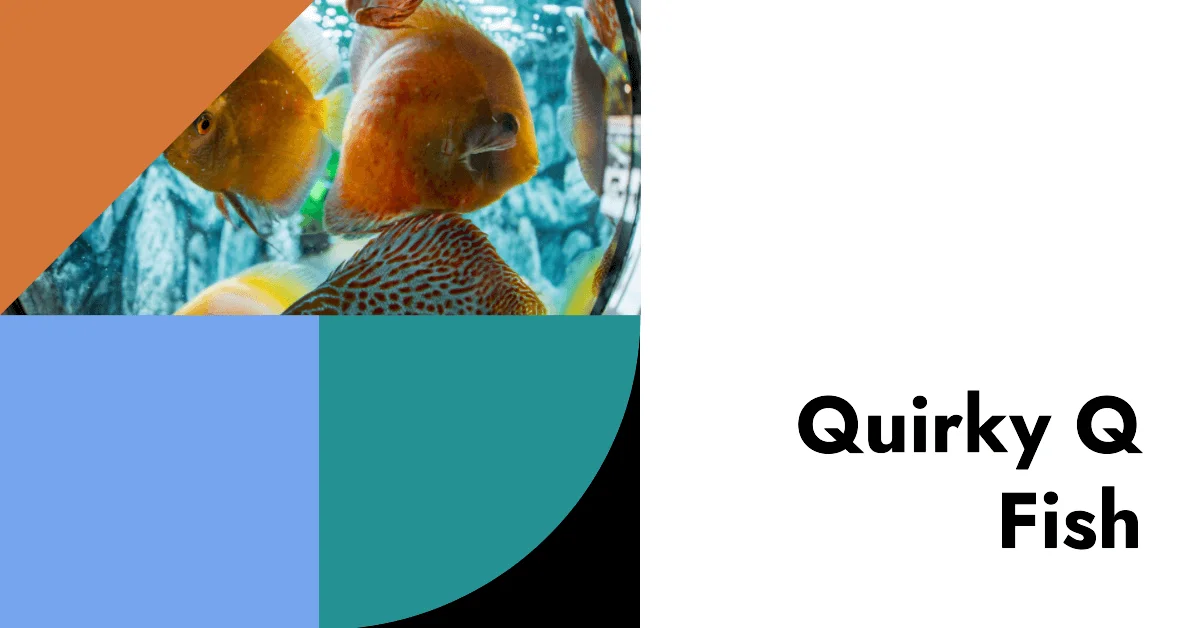 Fish Names that Start with Letter Q