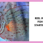 Fish Names that Start with Letter R