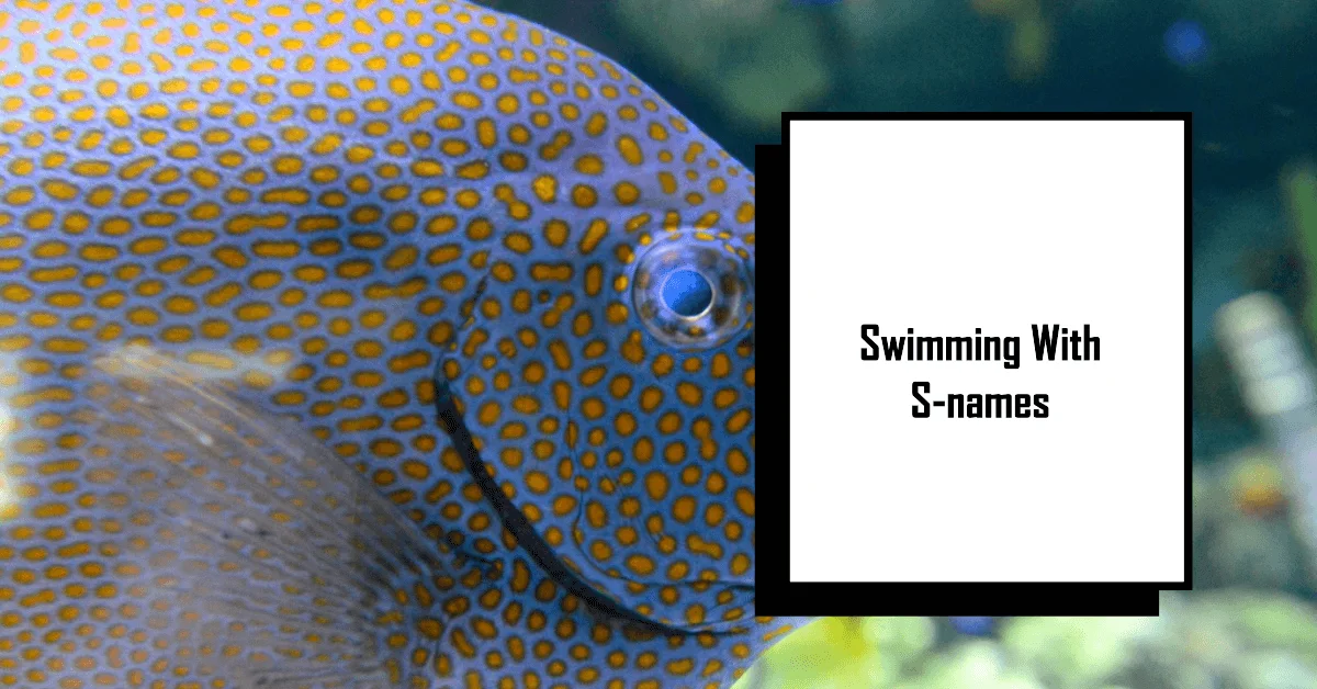 Fish Names that Start with Letter S