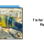Fish Names that Start with Letter T
