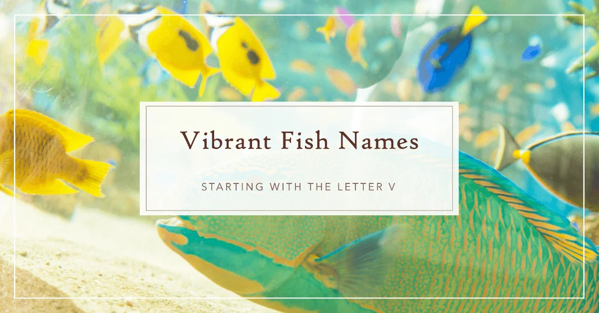 Fish Names that Start with Letter V
