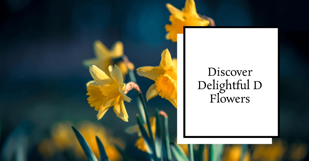 Flower Names that Start with D
