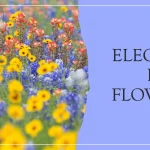 Flower Names that Start with E