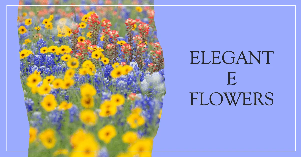 Flower Names that Start with E