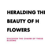 Flower Names that Start with H