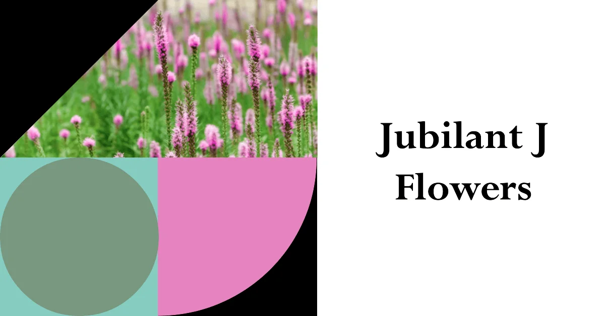 Flower Names that Start with J