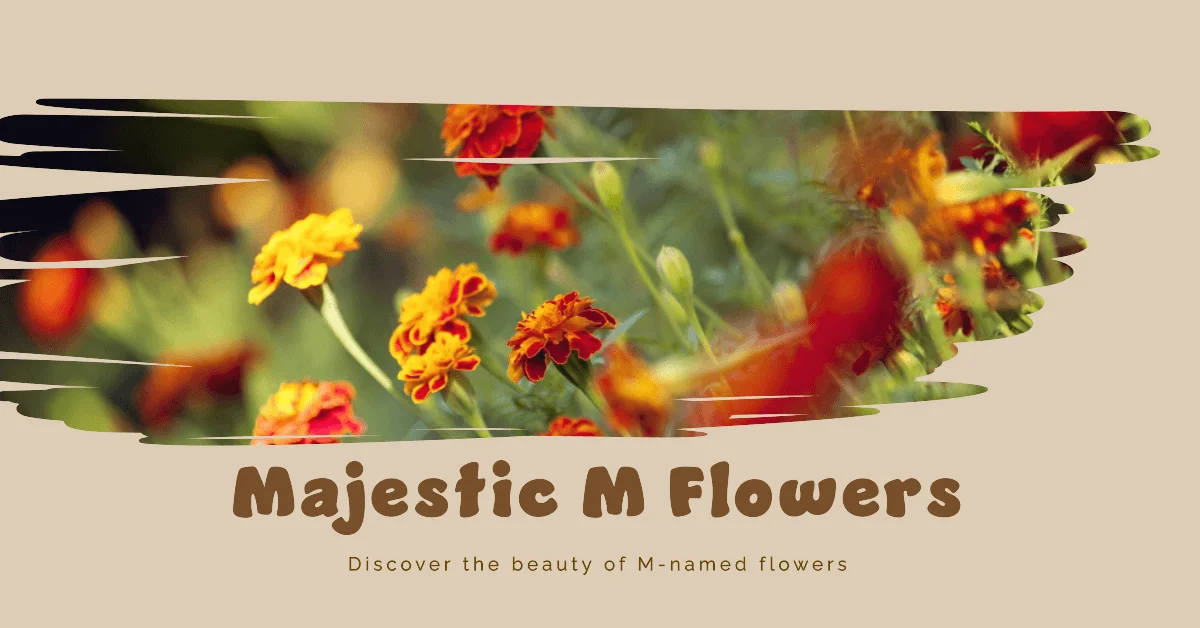 Flower Names that Start with M