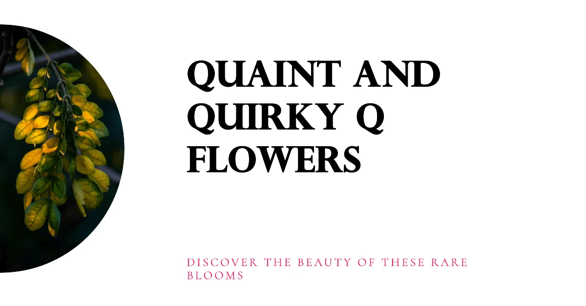 Flower Names that Start with Q
