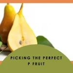 Fruit Names that Start with P
